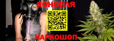 сатива Донецк
