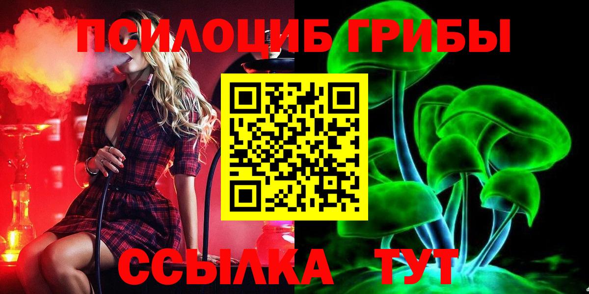 Псилоцибиновые грибы мицелий Нижний Тагил